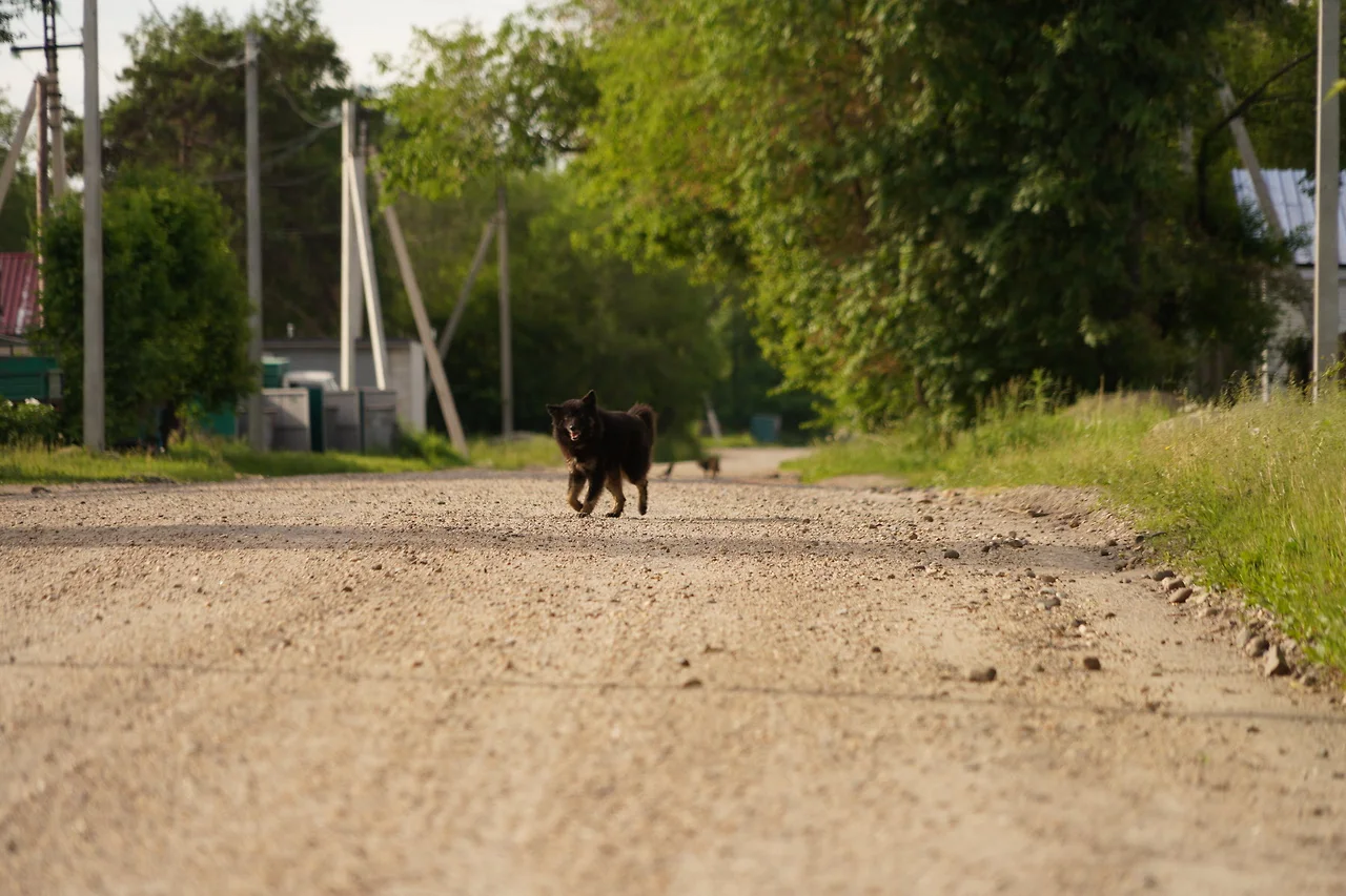 KakaoTalk_Photo_2022-07-08-21-27-23 006.jpeg