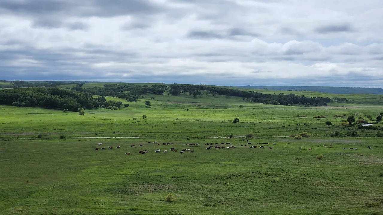 KakaoTalk_Photo_2022-07-05-23-20-38 007.jpeg