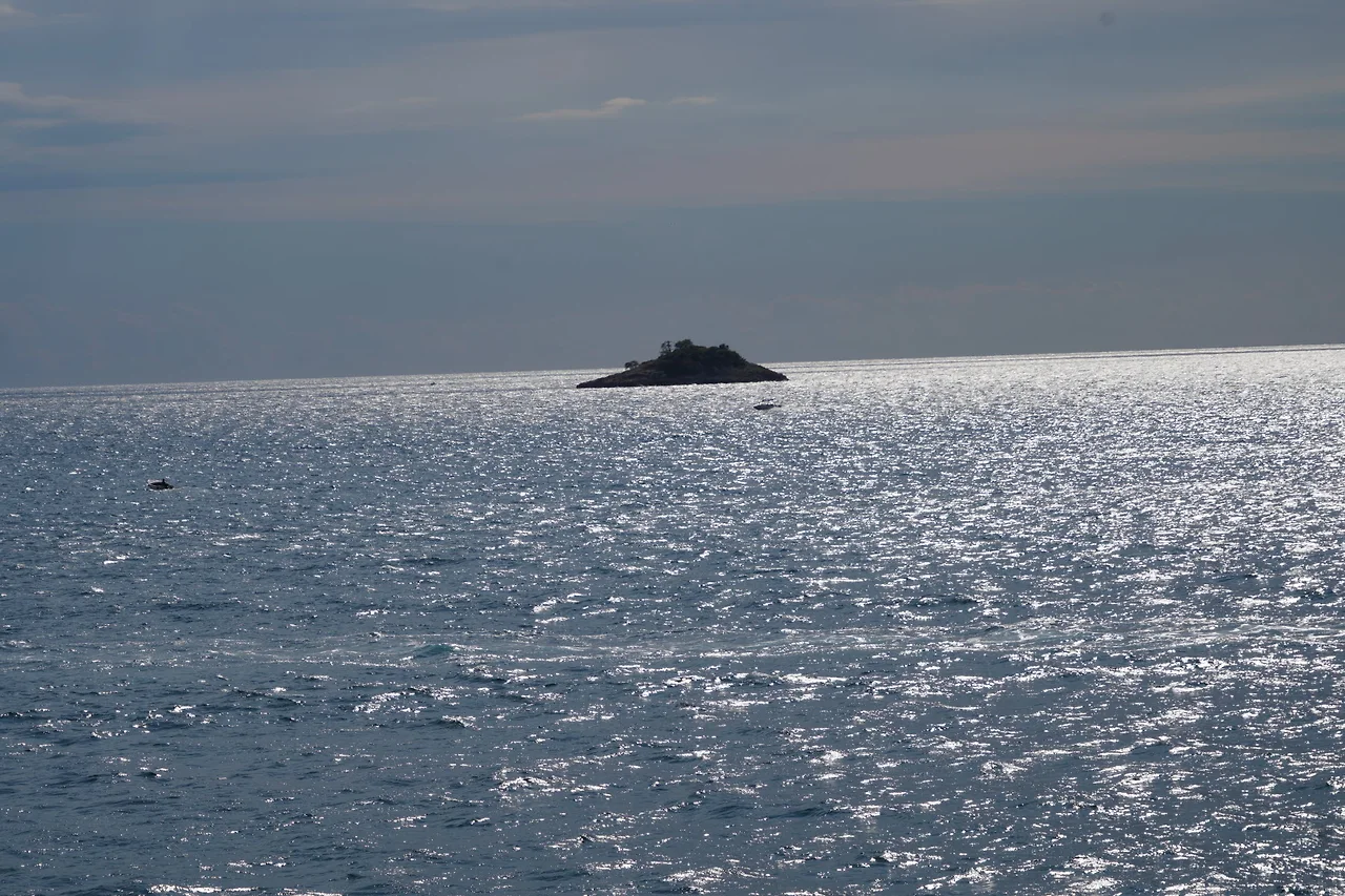 KakaoTalk_Photo_2022-08-26-11-13-18 008.jpeg