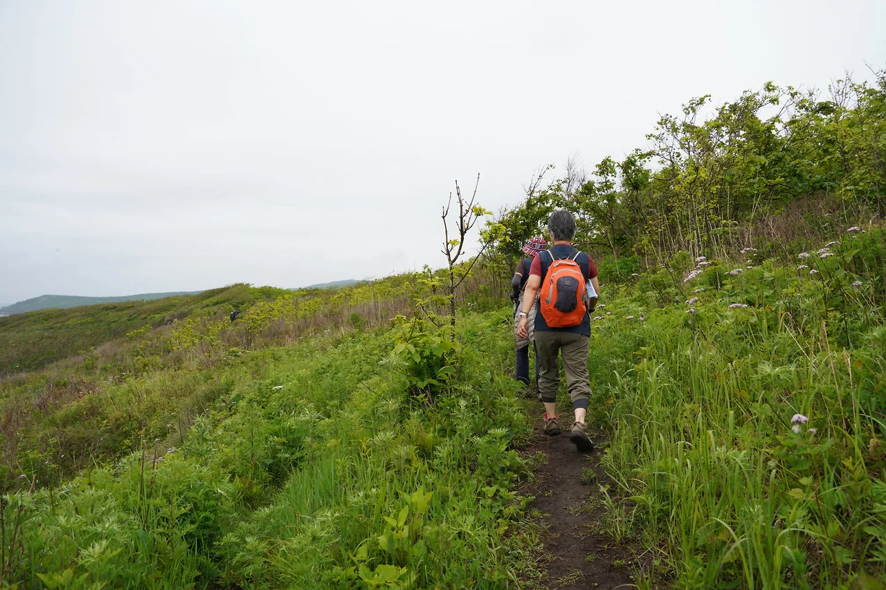 KakaoTalk_Photo_2022-06-27-01-14-15 018.jpeg