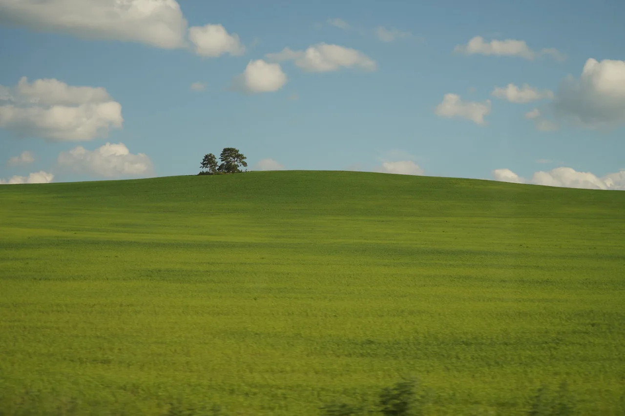 KakaoTalk_Photo_2022-08-06-11-56-45 023.jpeg