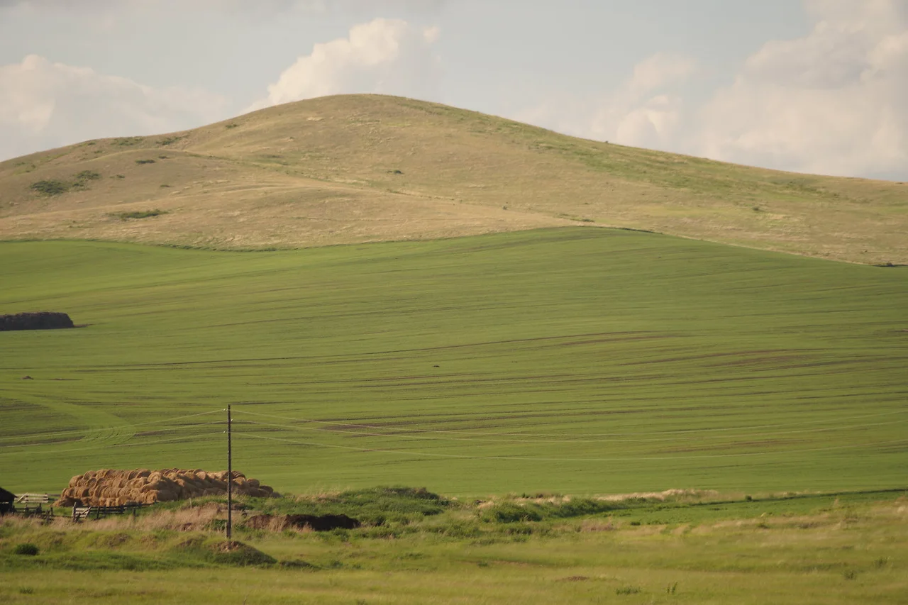 KakaoTalk_Photo_2022-08-06-11-56-46 027.jpeg