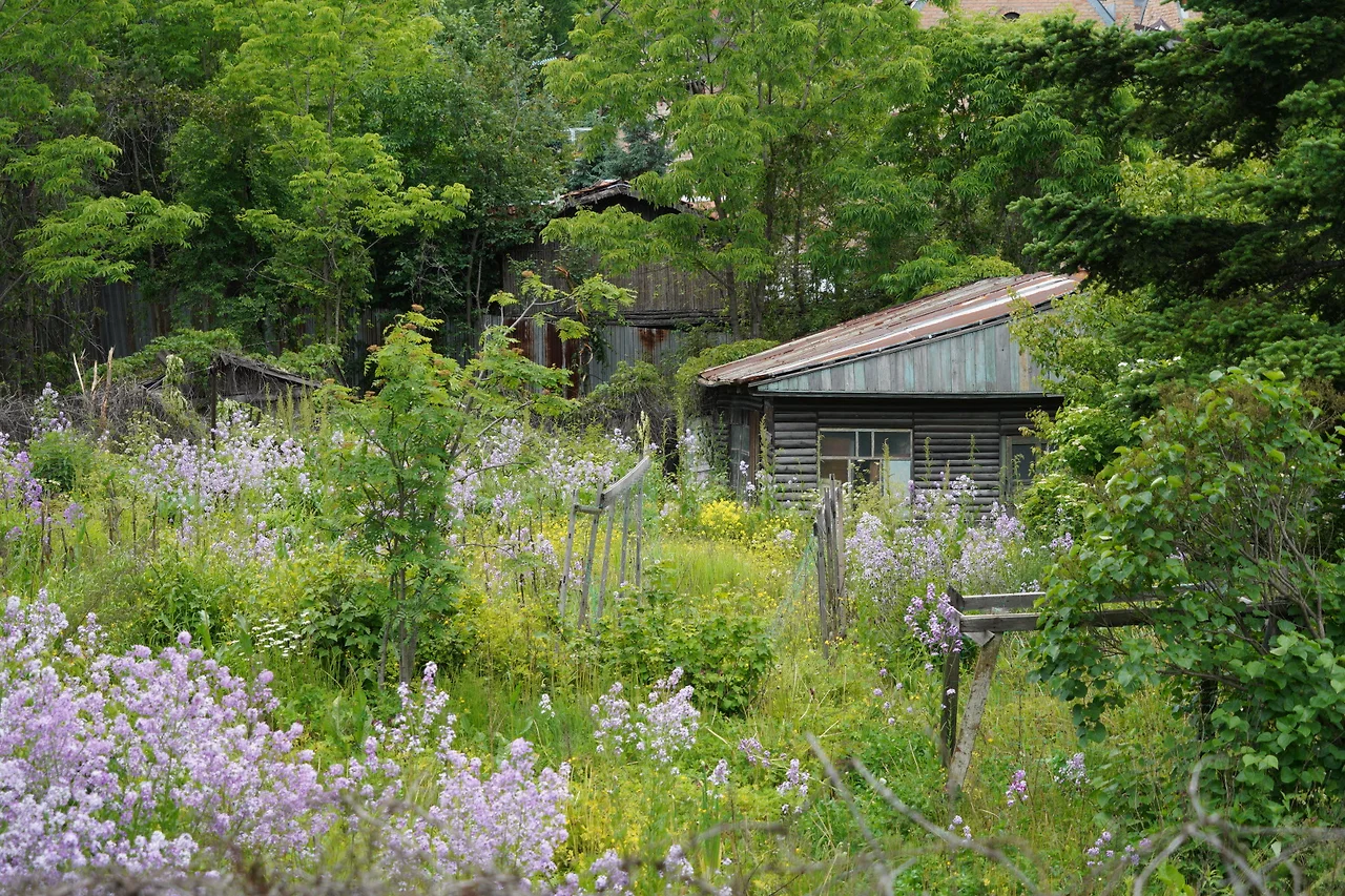 KakaoTalk_Photo_2022-06-28-17-44-45 001.jpeg