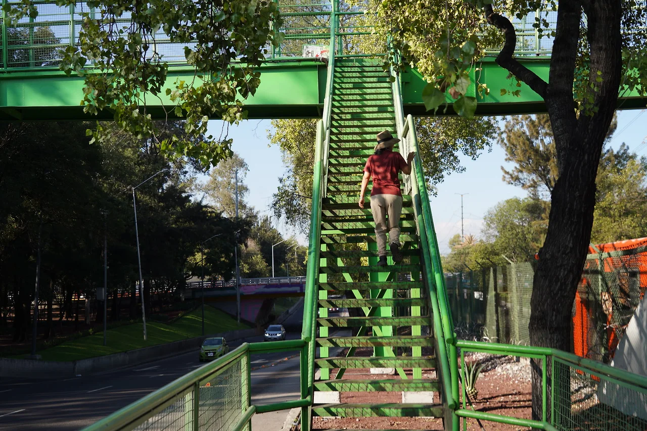 [꾸미기]DSC05824 - 복사본.JPG