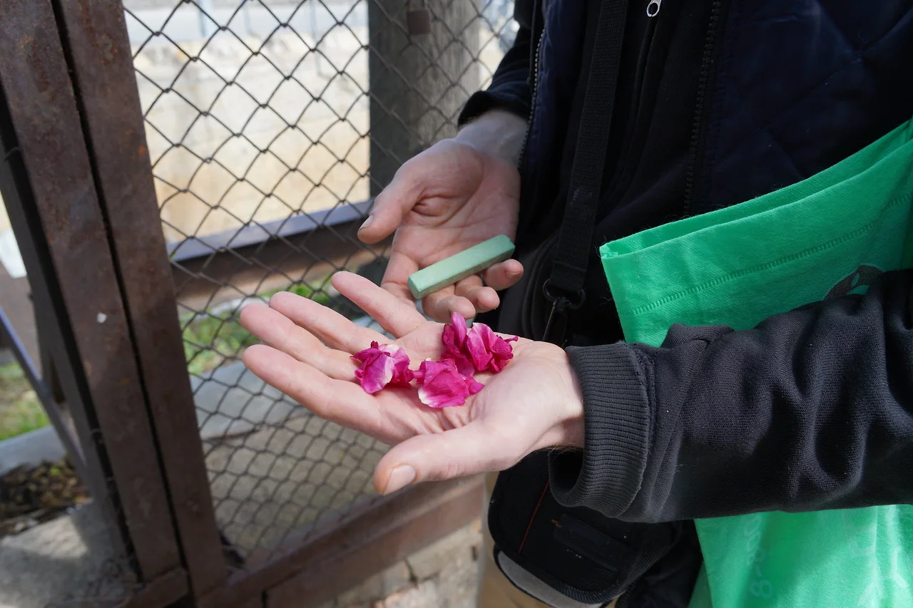 KakaoTalk_Photo_2022-06-29-23-29-16 022.jpeg