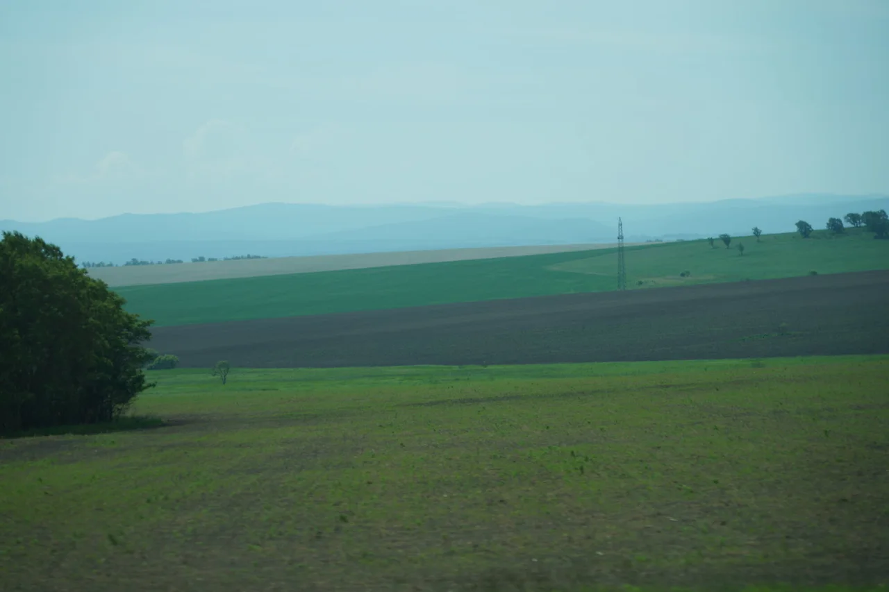 KakaoTalk_Photo_2022-07-05-23-32-22 008.jpeg