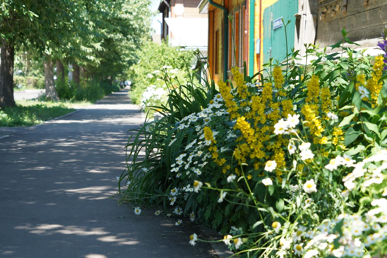 KakaoTalk_Photo_2022-07-19-23-38-58 013.jpeg