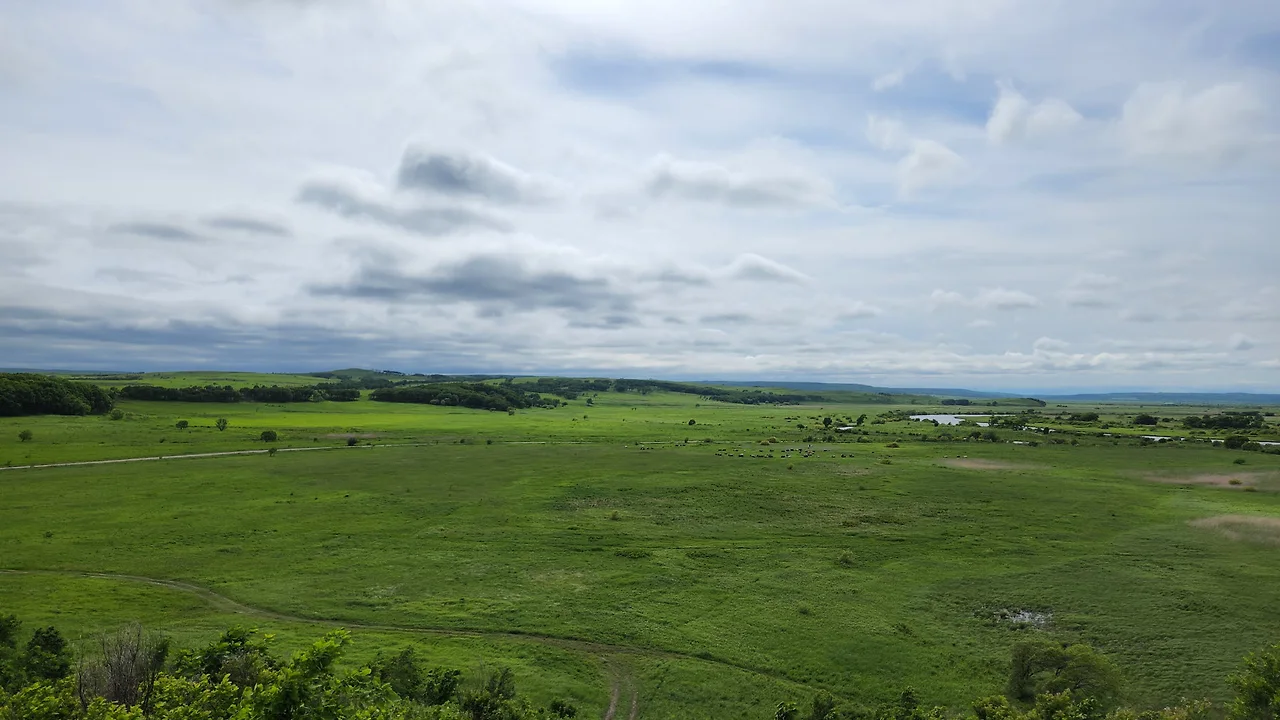 KakaoTalk_Photo_2022-07-05-23-20-38 006.jpeg