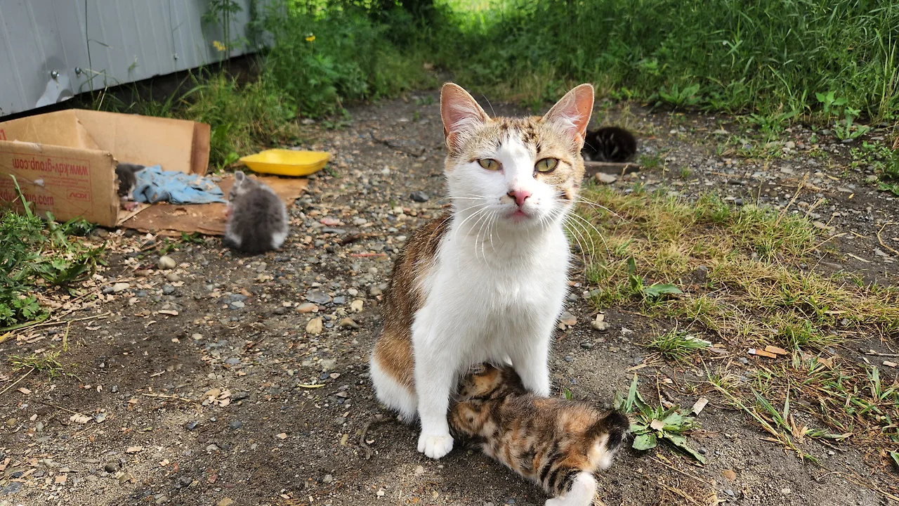 KakaoTalk_Photo_2022-07-07-17-56-36 007.jpeg