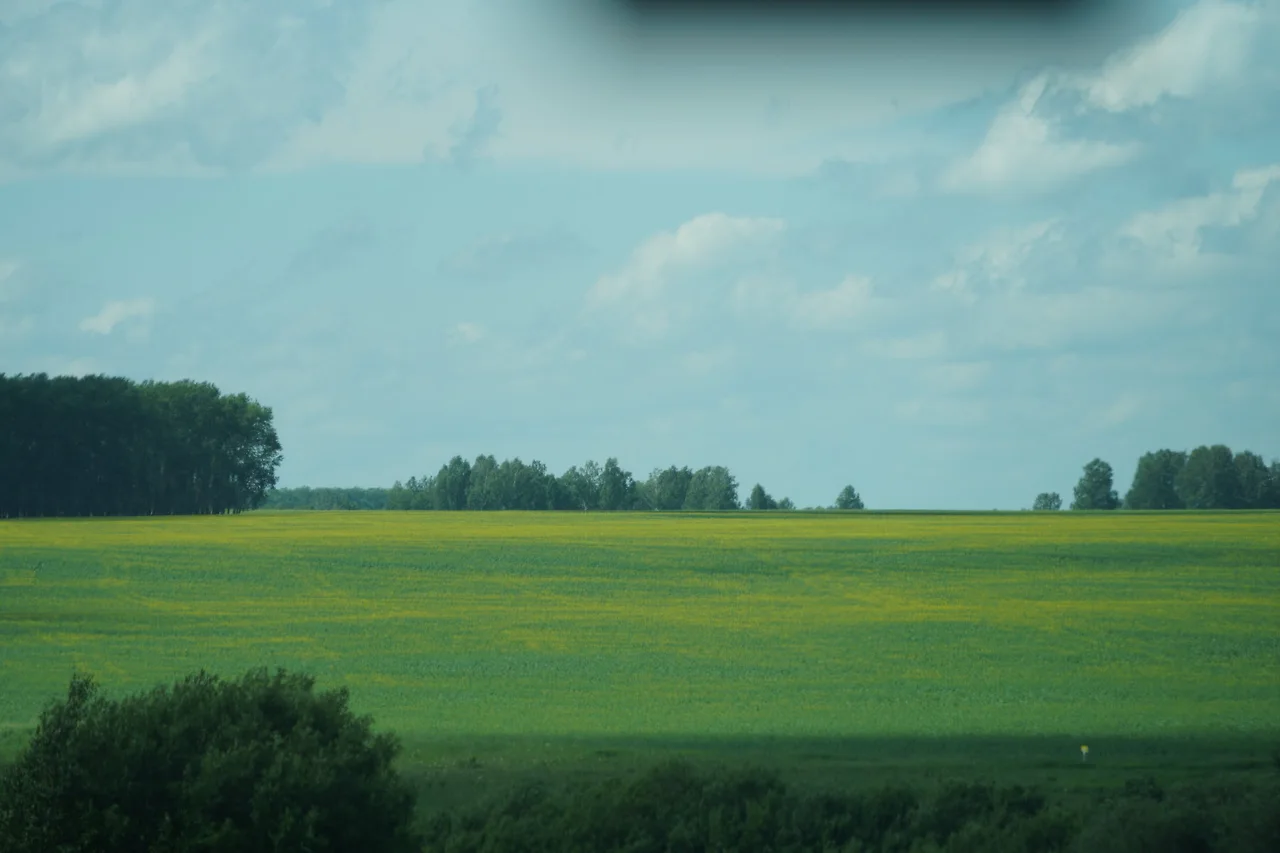 KakaoTalk_Photo_2022-08-17-10-02-36 013.jpeg