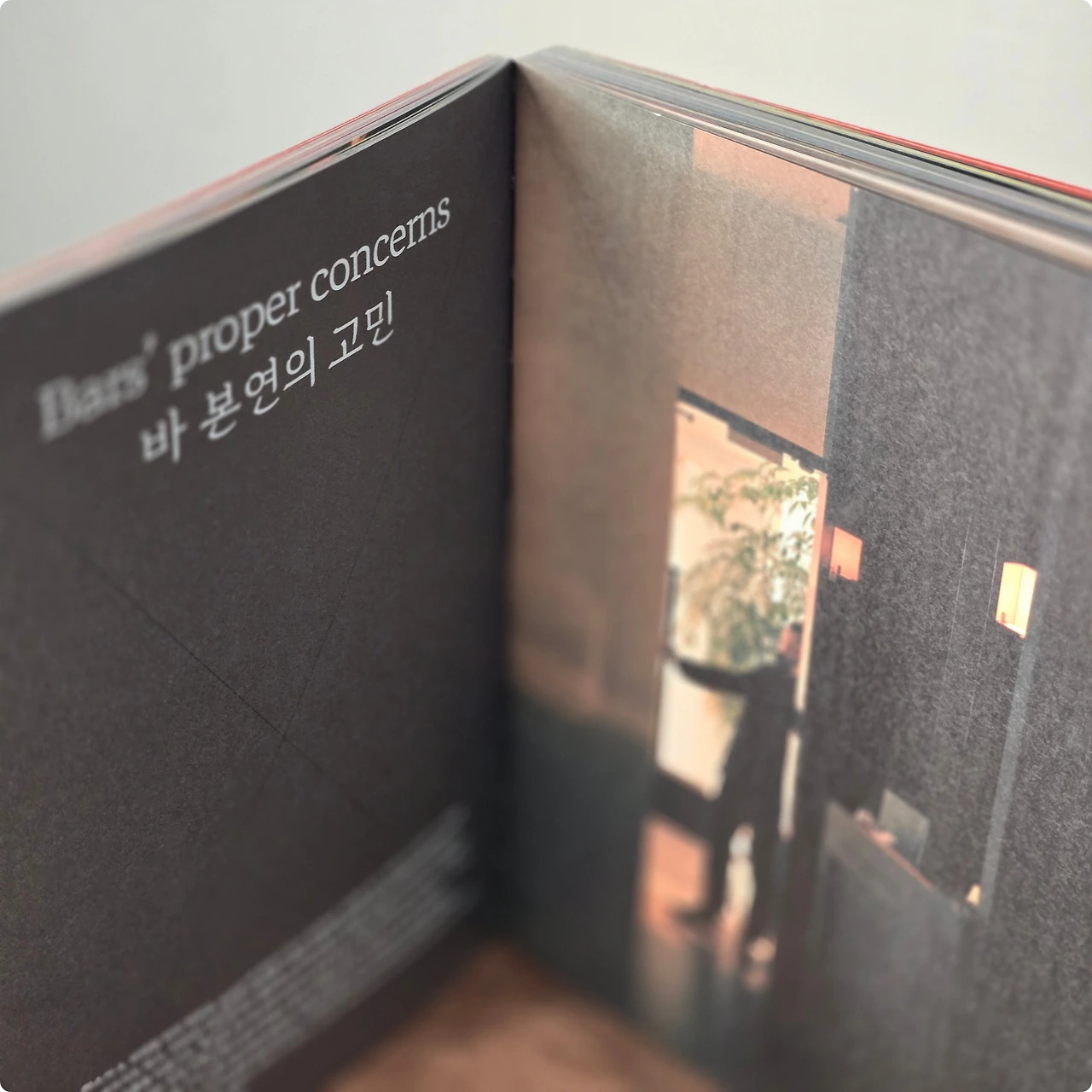 KakaoTalk_Photo_2024-09-29-22-06-43 002.jpeg