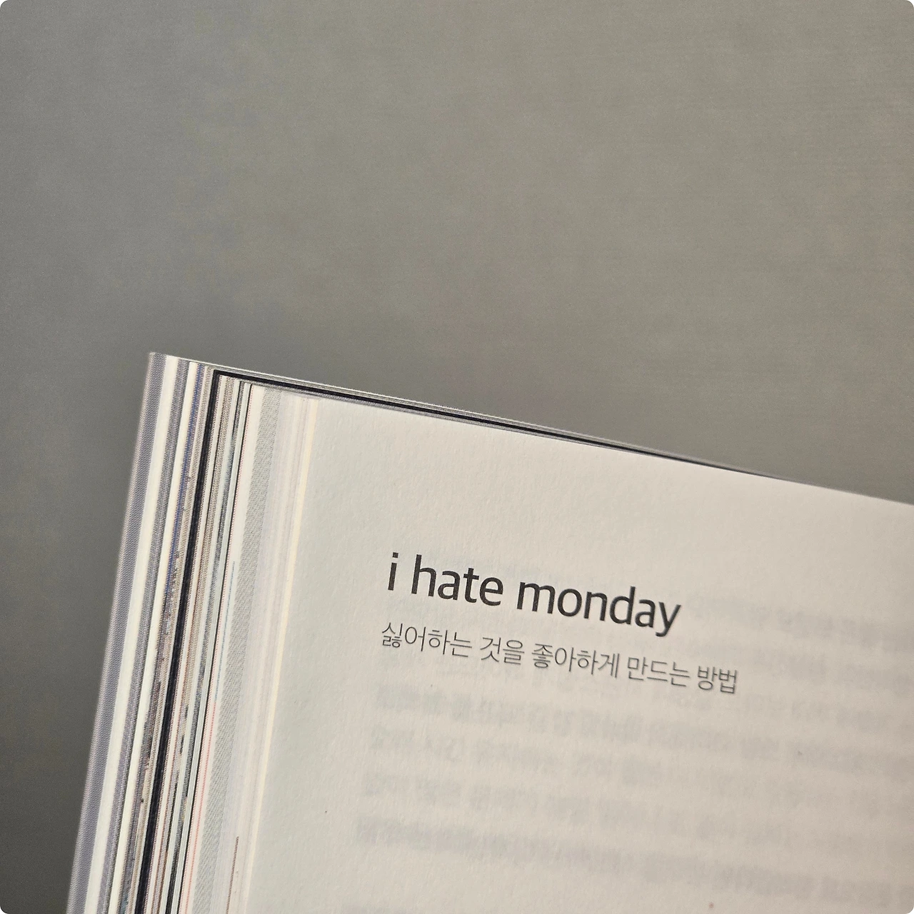 KakaoTalk_Photo_2025-01-30-13-02-14 006.jpeg