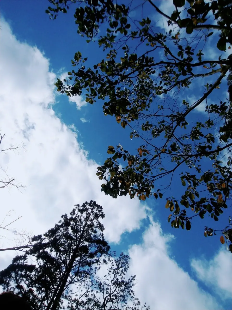 KakaoTalk_20250627_131606142.jpg?type=w966