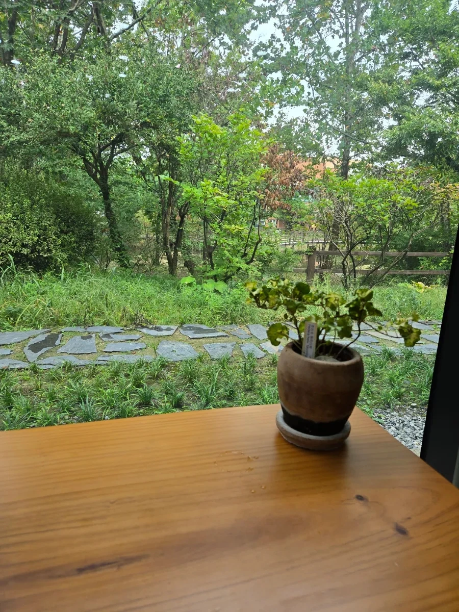 900%EF%BC%BF20250928%EF%BC%BF150632.jpg?type=w966