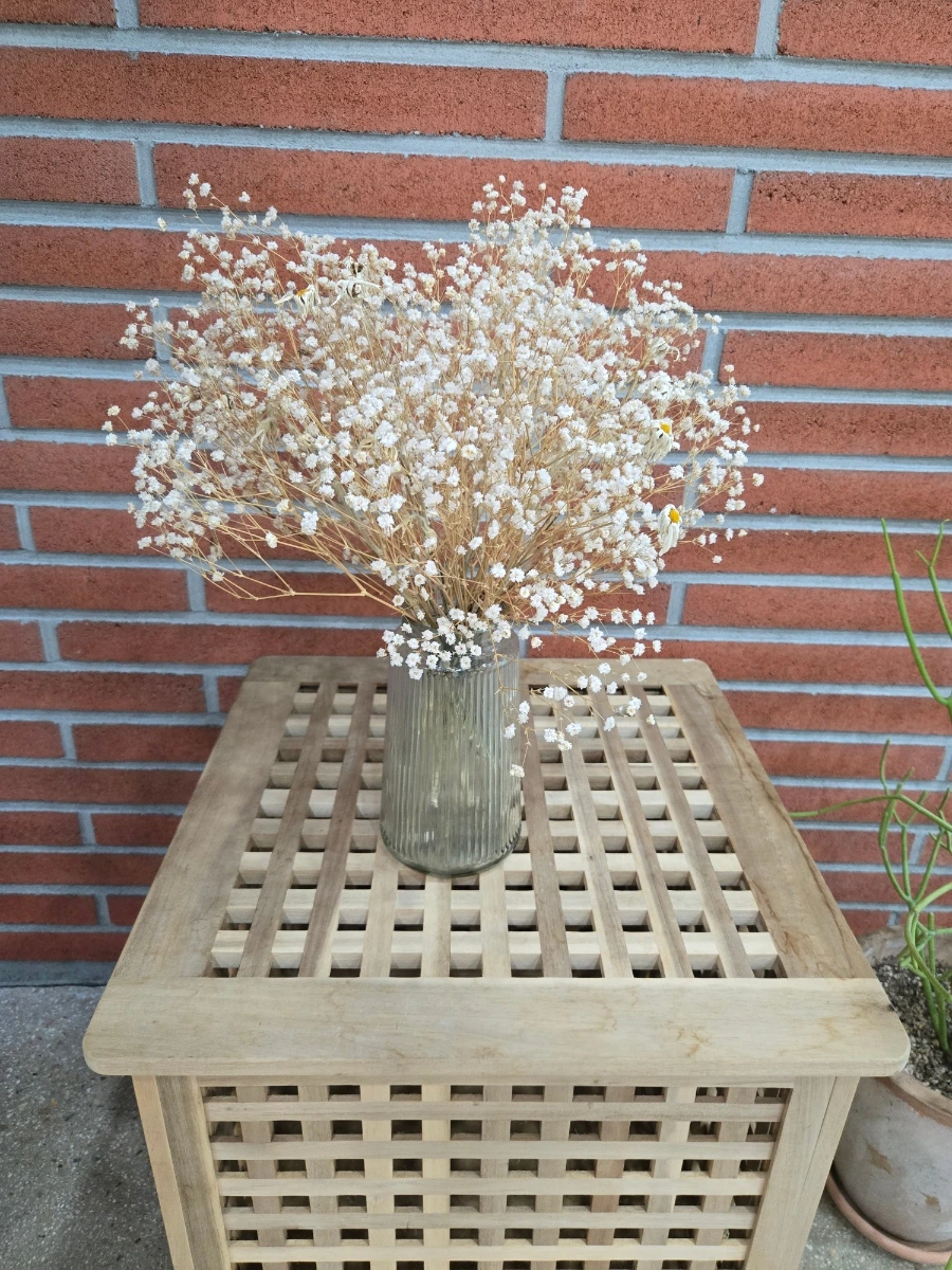 900%EF%BC%BF20250928%EF%BC%BF151441.jpg?type=w966