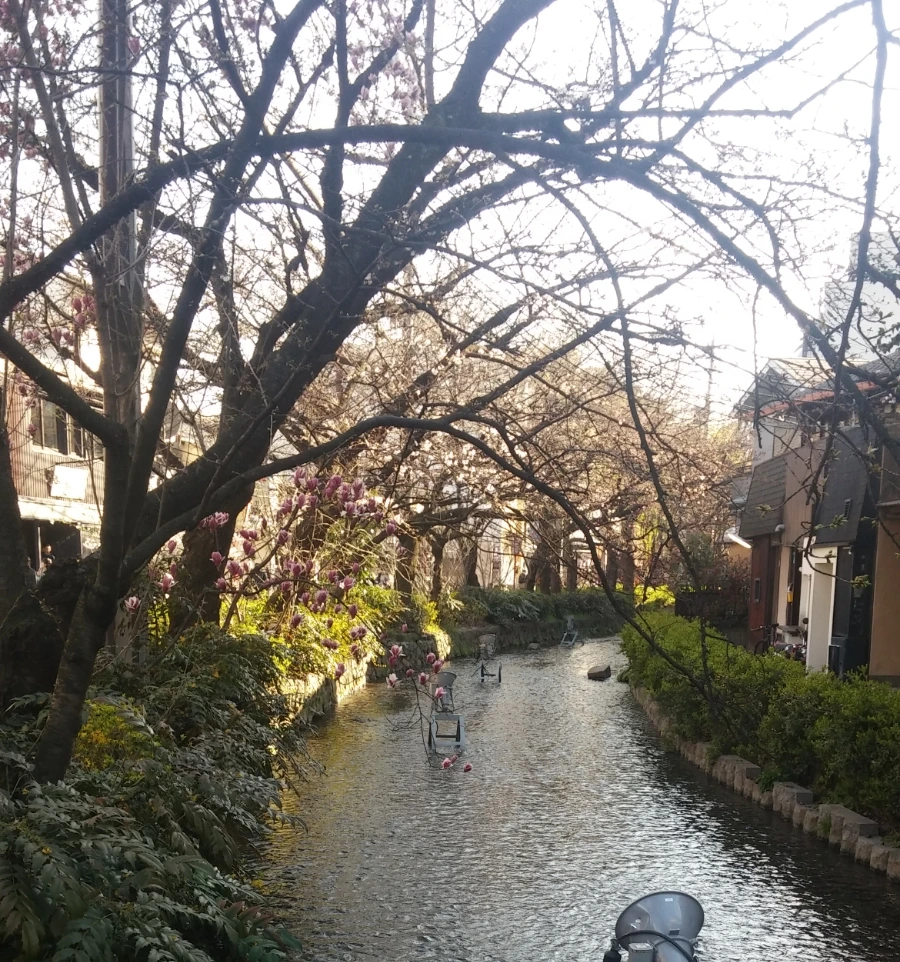 SE-a6694d1d-92b5-11f0-b786-d137a44b9c44.jpg?type=w966