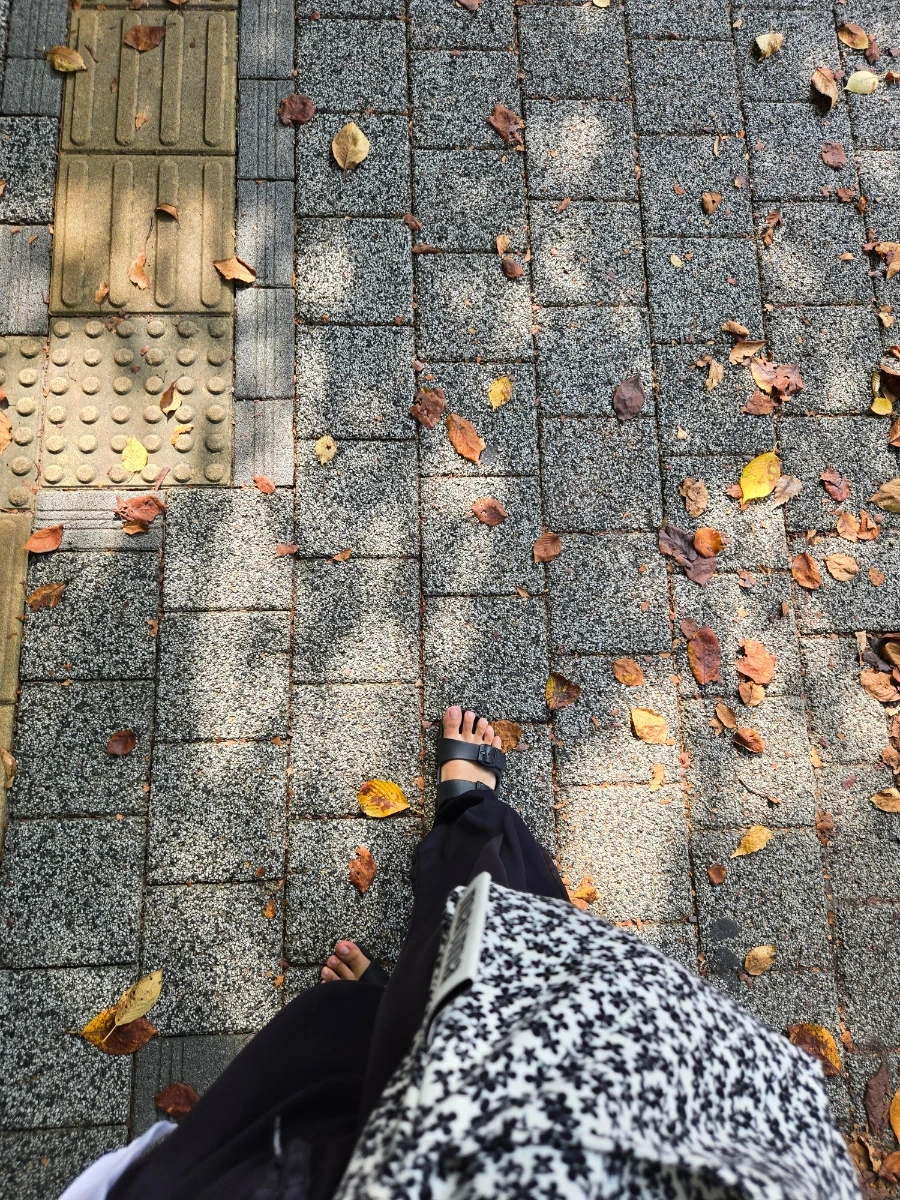 900%EF%BC%BF20251002%EF%BC%BF103225.jpg?type=w966