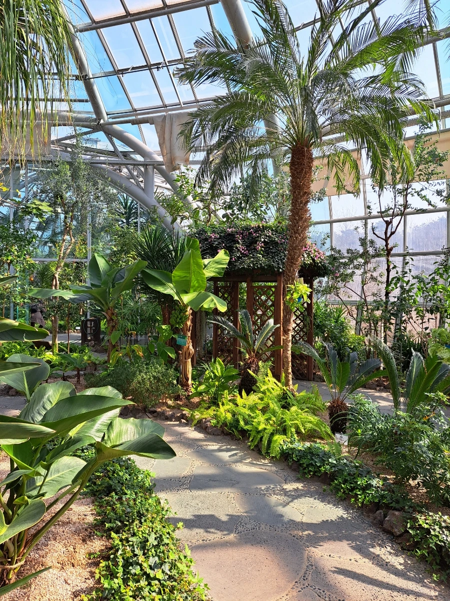 900%EF%BC%BF20230303%EF%BC%BF112933.jpg?type=w966