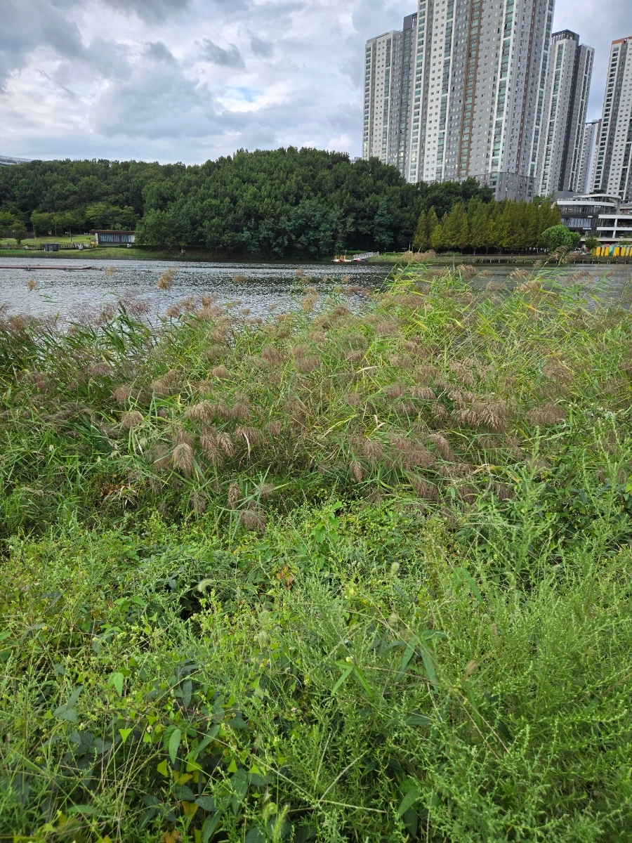 900%EF%BC%BF20250920%EF%BC%BF171325.jpg?type=w966