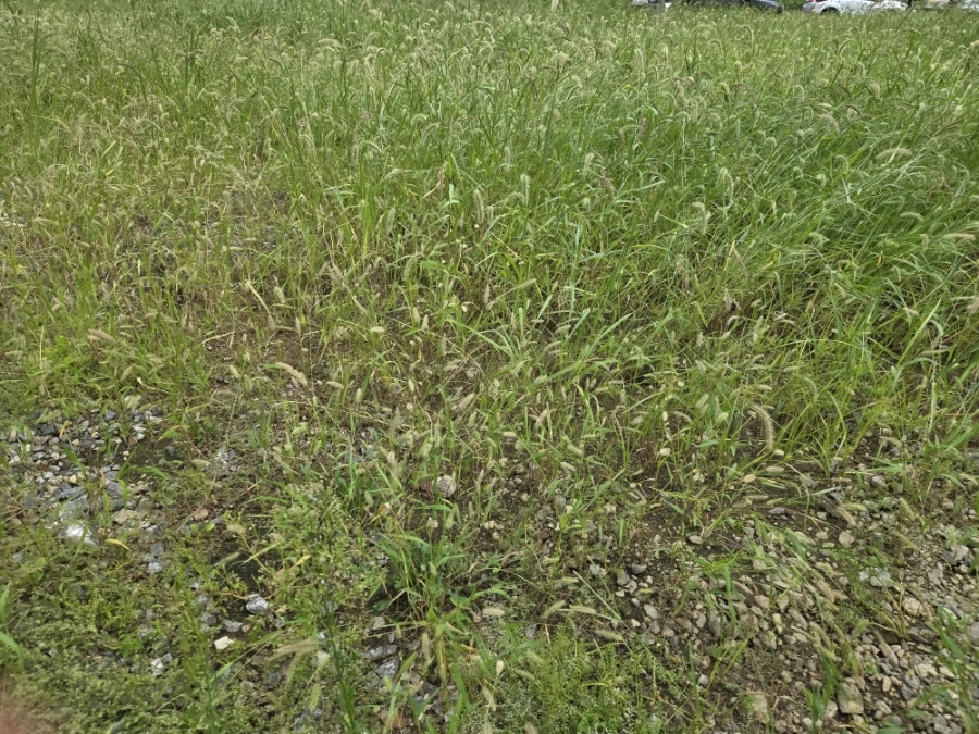 900%EF%BC%BF20250907%EF%BC%BF104813.jpg?type=w966