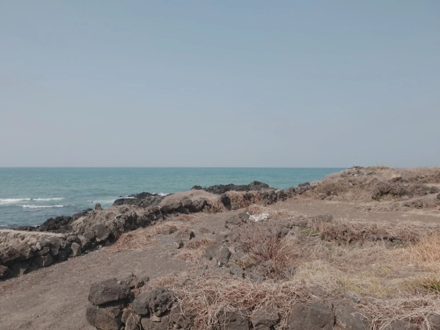 900%EF%BC%BF1584050948955%EF%BC%8D11.jpg?type=w966