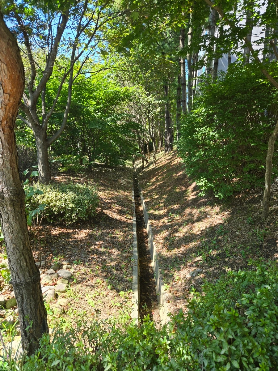 900%EF%BC%BF20250905%EF%BC%BF112243.jpg?type=w966