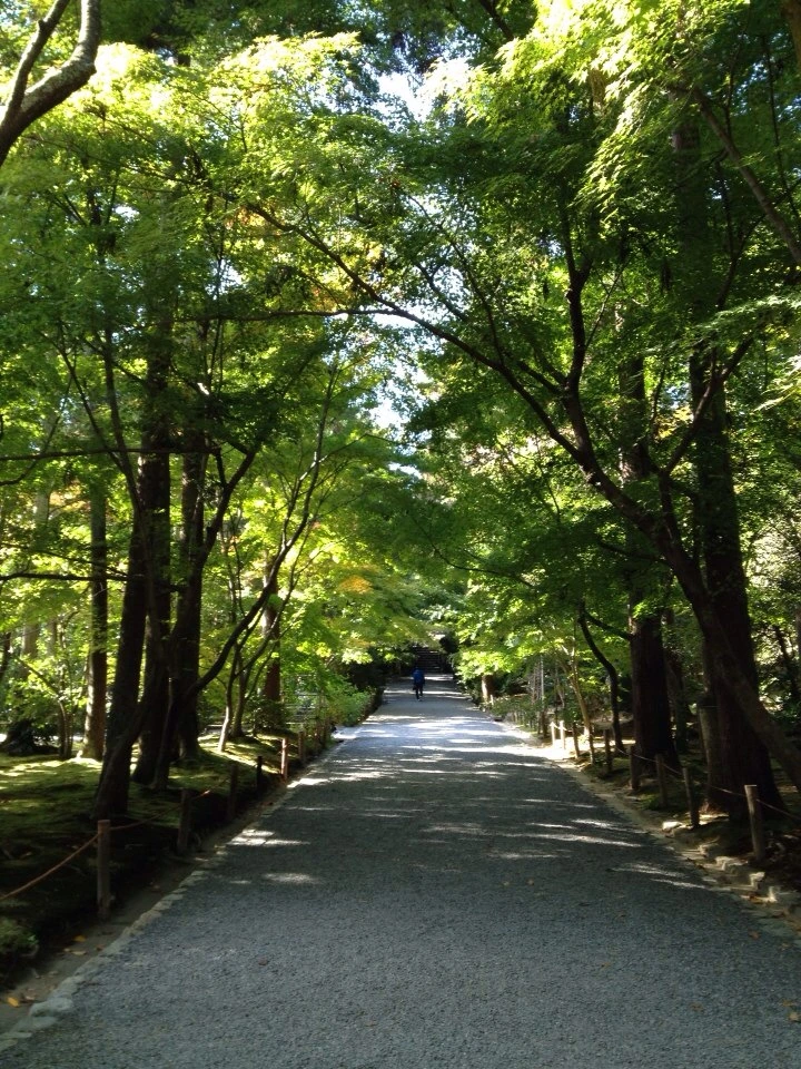 IMG%EF%BC%BF3234.jpg?type=w966