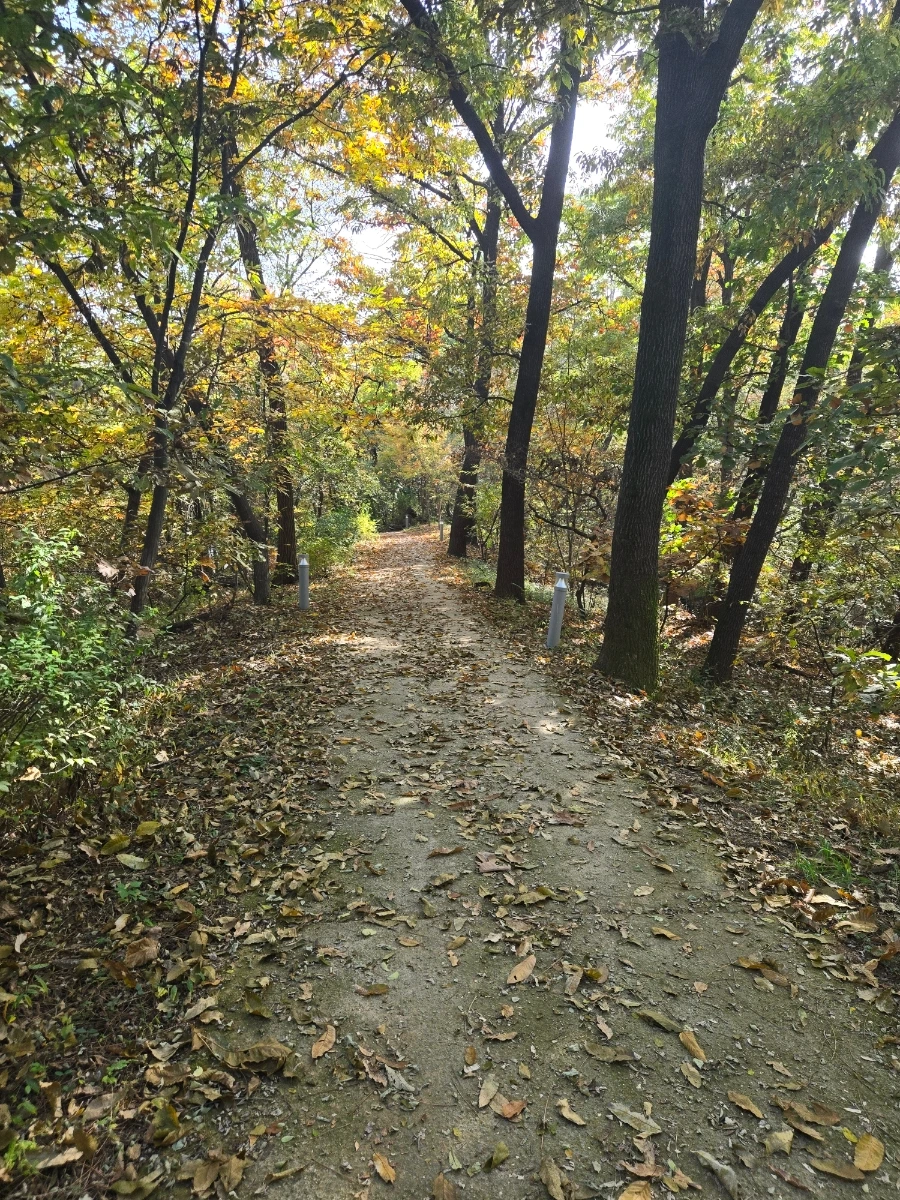 900%EF%BC%BF20251109%EF%BC%BF135024.jpg?type=w966