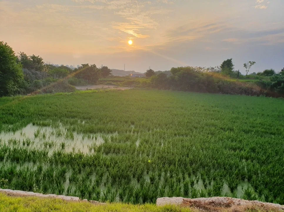 KakaoTalk_20250616_141824396_02.jpg?type=w966