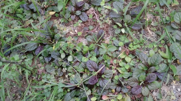 KakaoTalk_20240620_135910563.jpg?type=w580