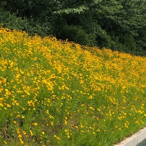 ?src=http%3A%2F%2Fblogfiles.naver.net%2FMjAyMTA4MTlfNDcg%2FMDAxNjI5Mzc0MTkxODA2.ebBvDszJ_VN3uMWwYRN1N3BsVP7dHgIL6i396ybqH0kg.oyy4vMmxrHaP8G79AkvmcvfGMBtCPRBBYSmX6Ymify8g.JPEG.dpdlcl612%2FIMG_4970.JPG&type=sc960_832