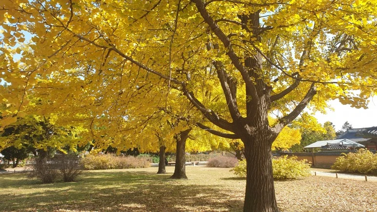 20201030_125639.jpg?type=w773