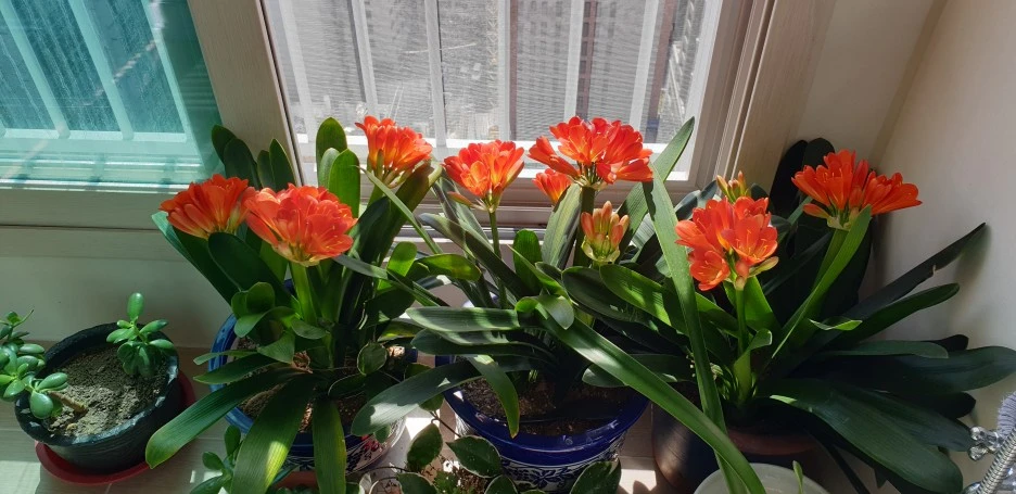 20220407_112704.jpg?type=w1