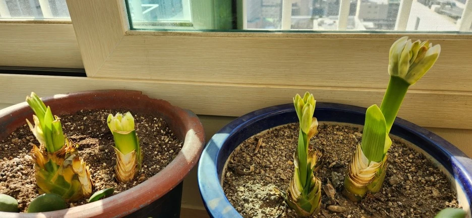 20230306_094214.jpg?type=w1