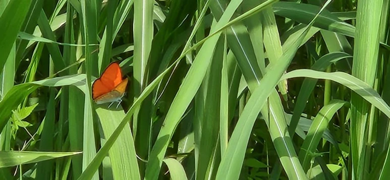 20220511_143924.jpg?type=w773