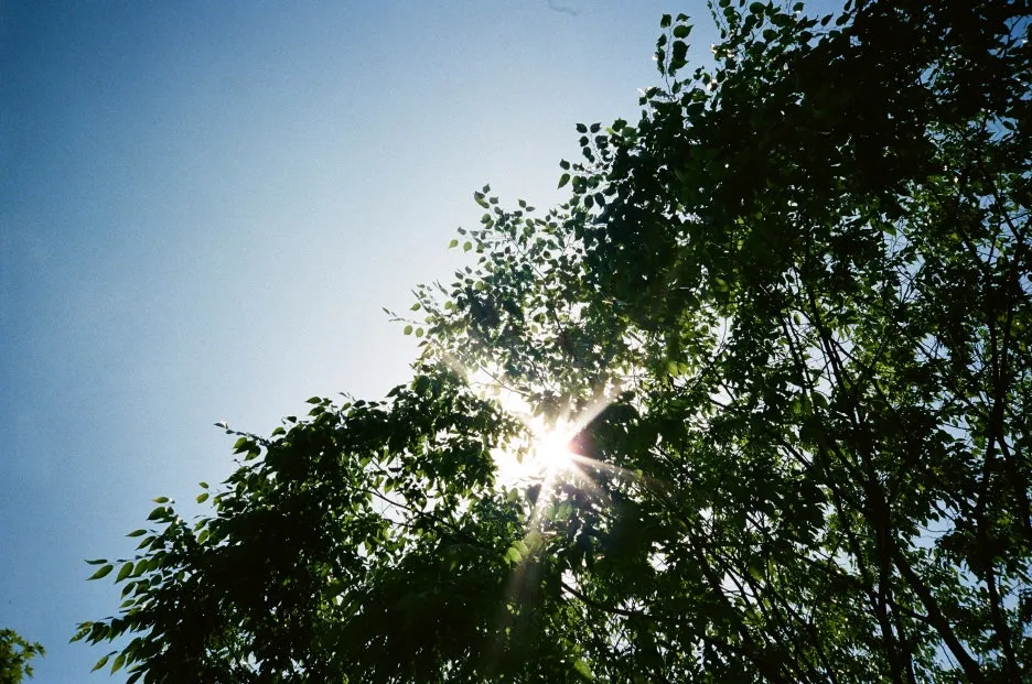 80200014.JPG?type=w1