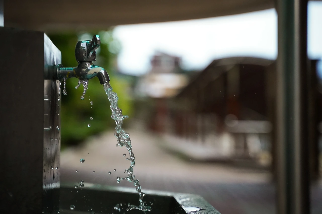 어린 시점5.jpeg