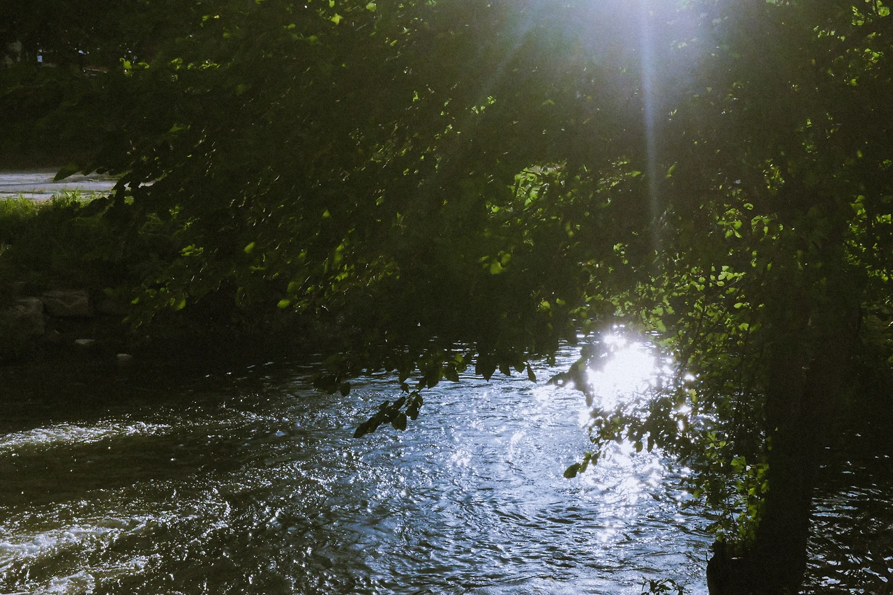 어린 시점3_피서_수현.JPG