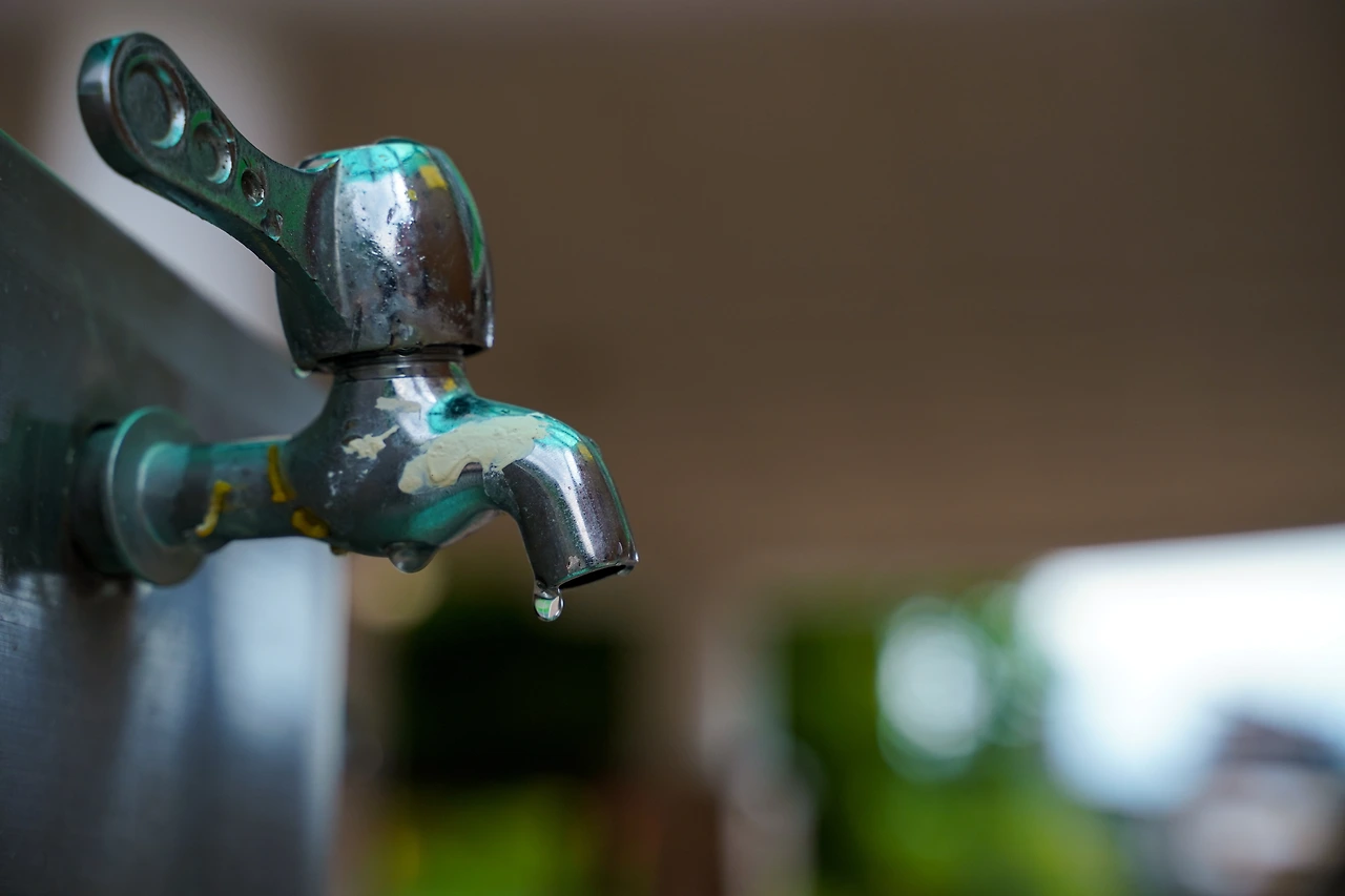 어른 시점1.jpeg