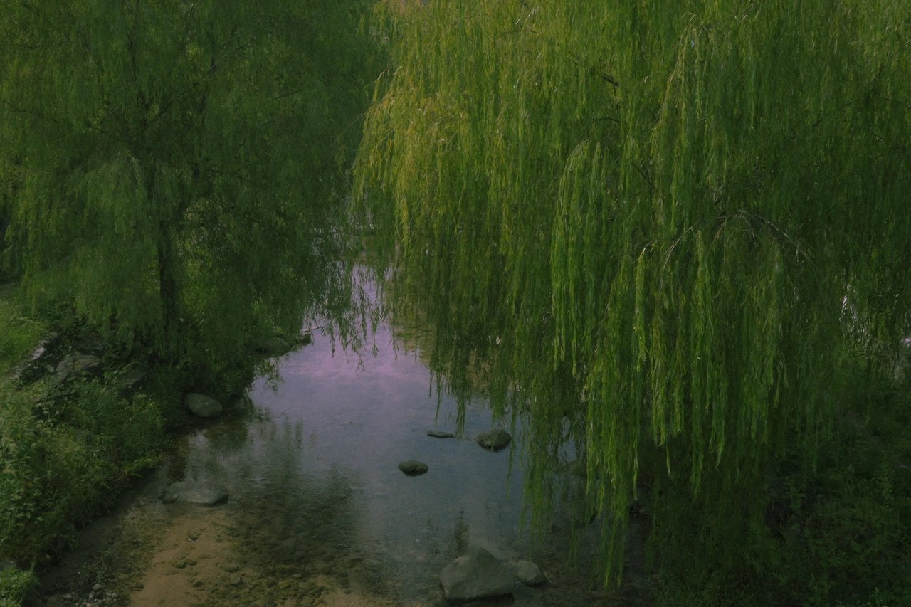 어른 시점2_그늘.JPG