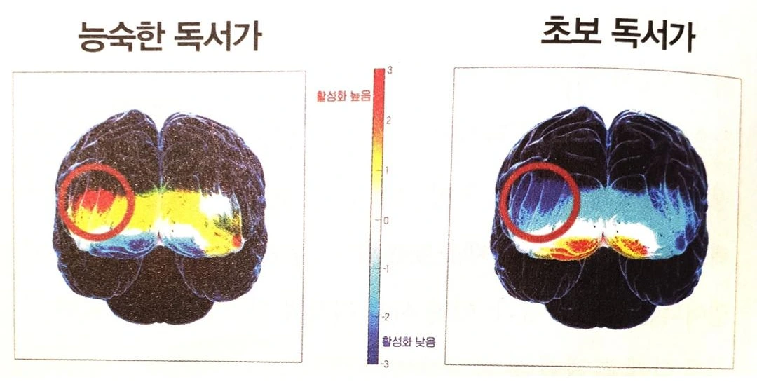 141 EBS 당신의 문해력_카드뉴스3.PNG