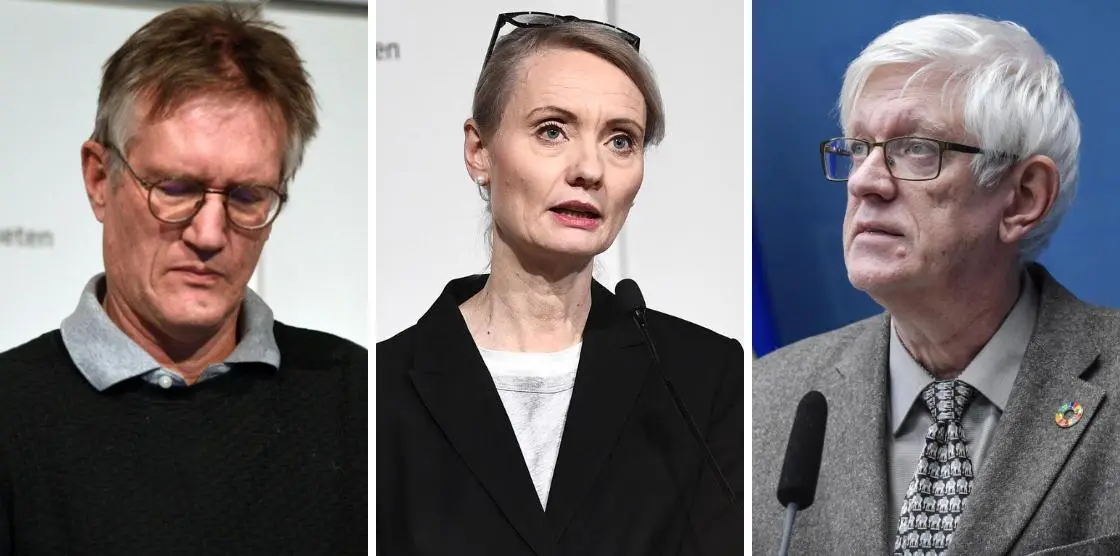 d5a60e98-f334-4923-a9a1-d425ed68ca74.jpeg?fit=crop&w=1200&h=630