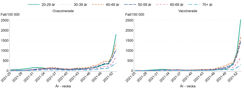 감염의 확인.PNG