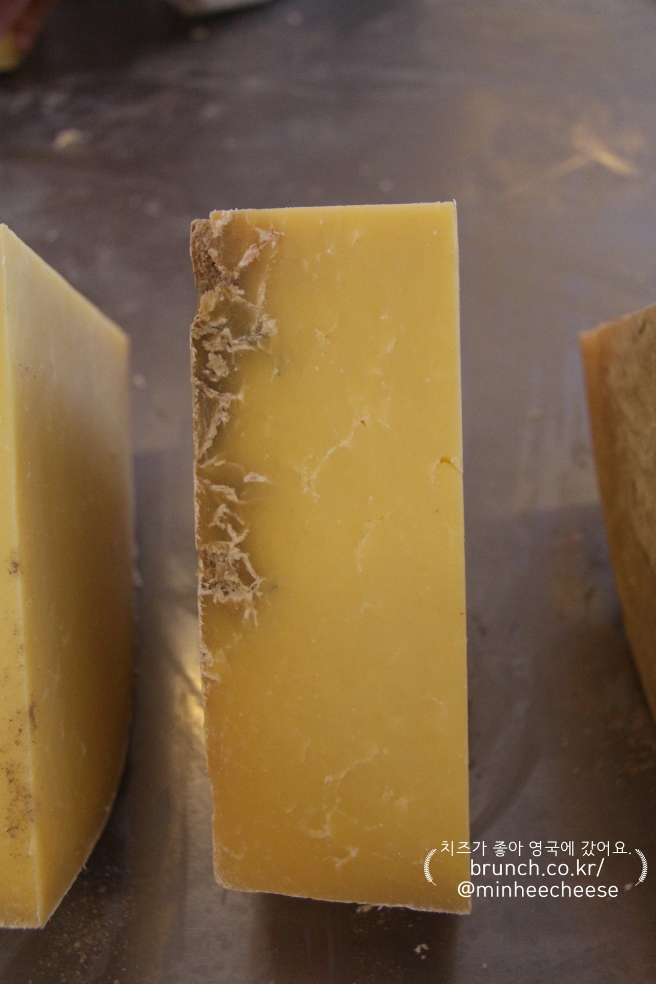 퀵스 마이트 손상 치즈 (6).JPG
