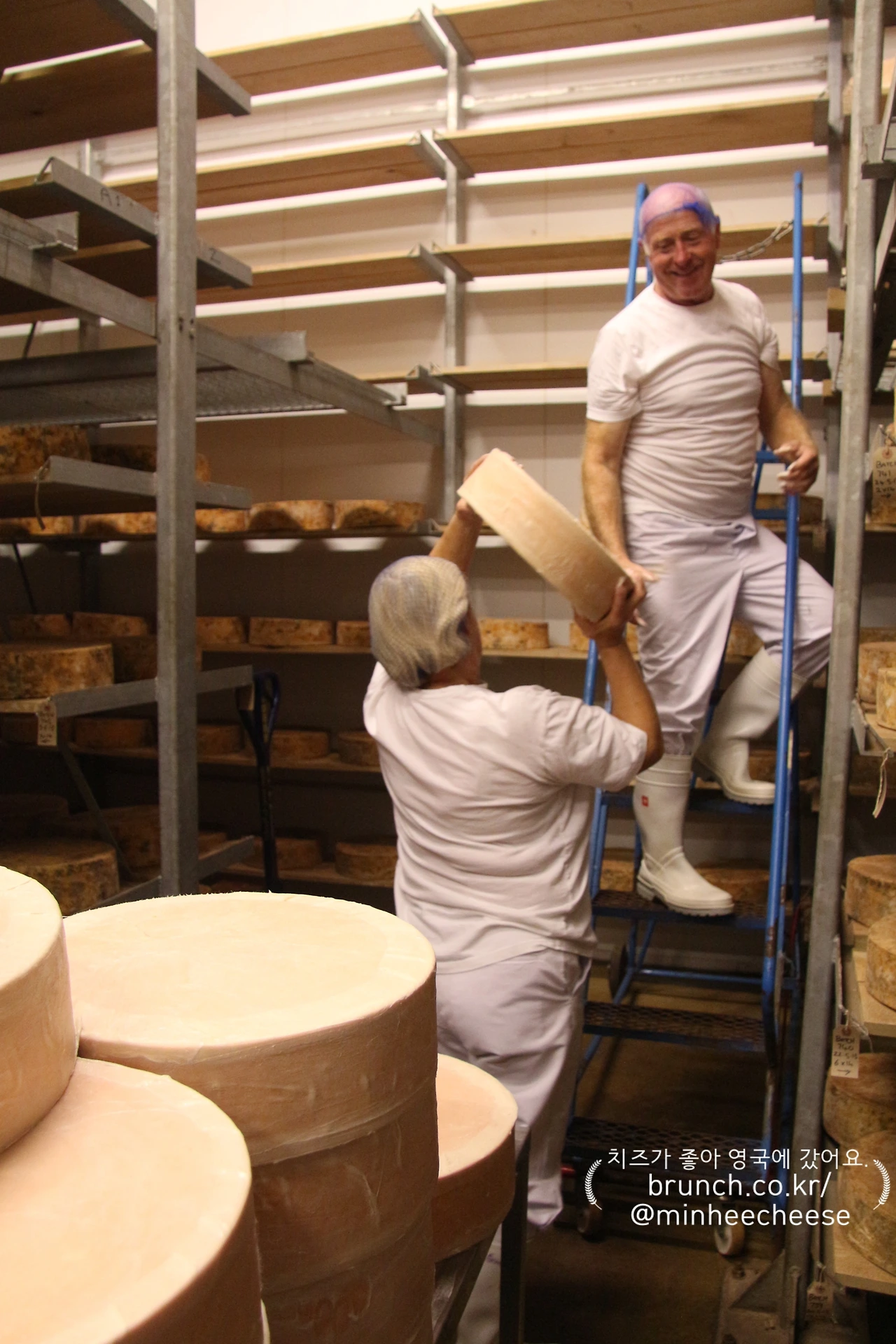 8.라드 모슬린 완성 후 숙성실 이동  (2).JPG