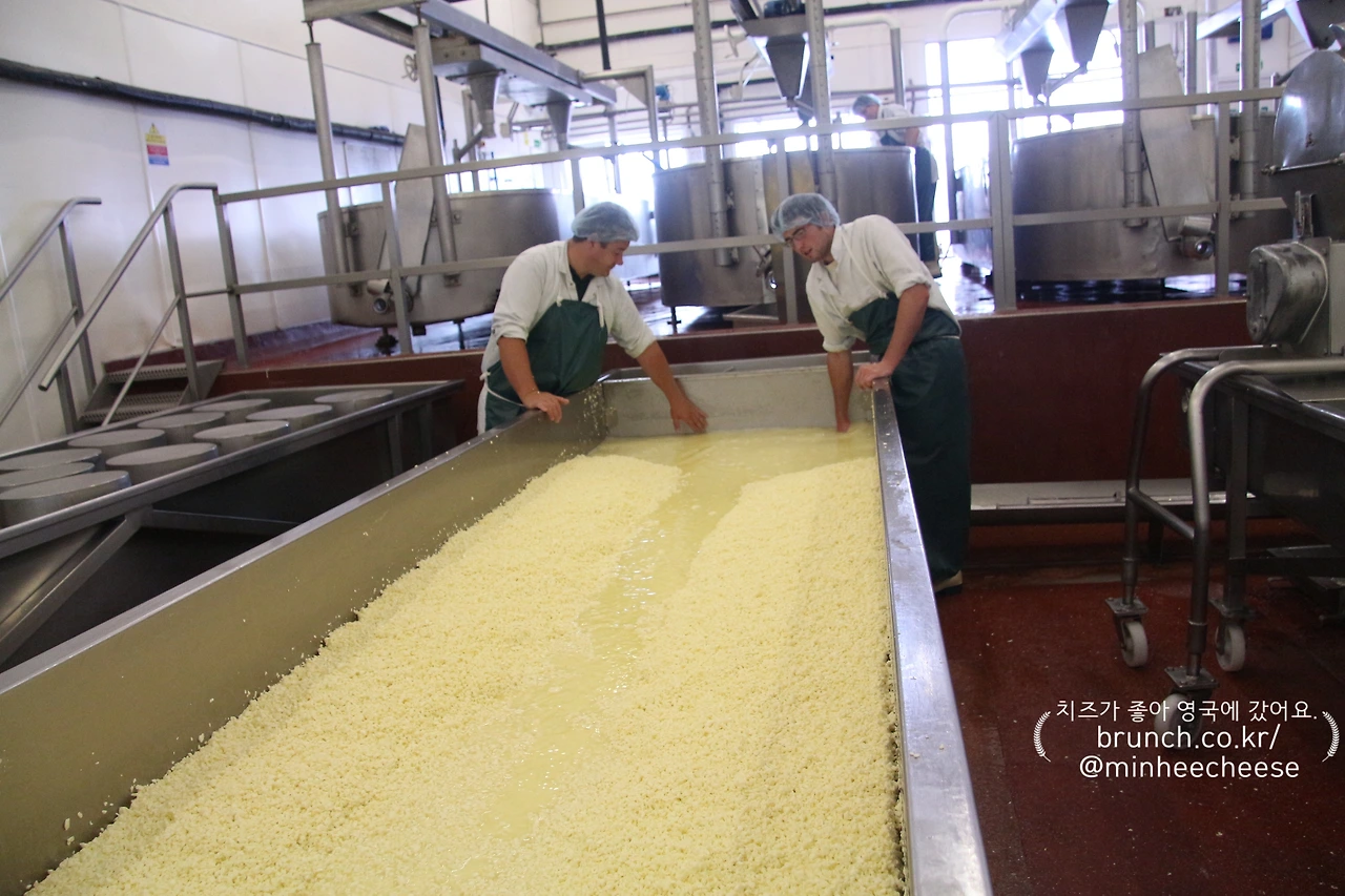 2. 알갱이 커드 블록으로 자르기 (2)-1.JPG