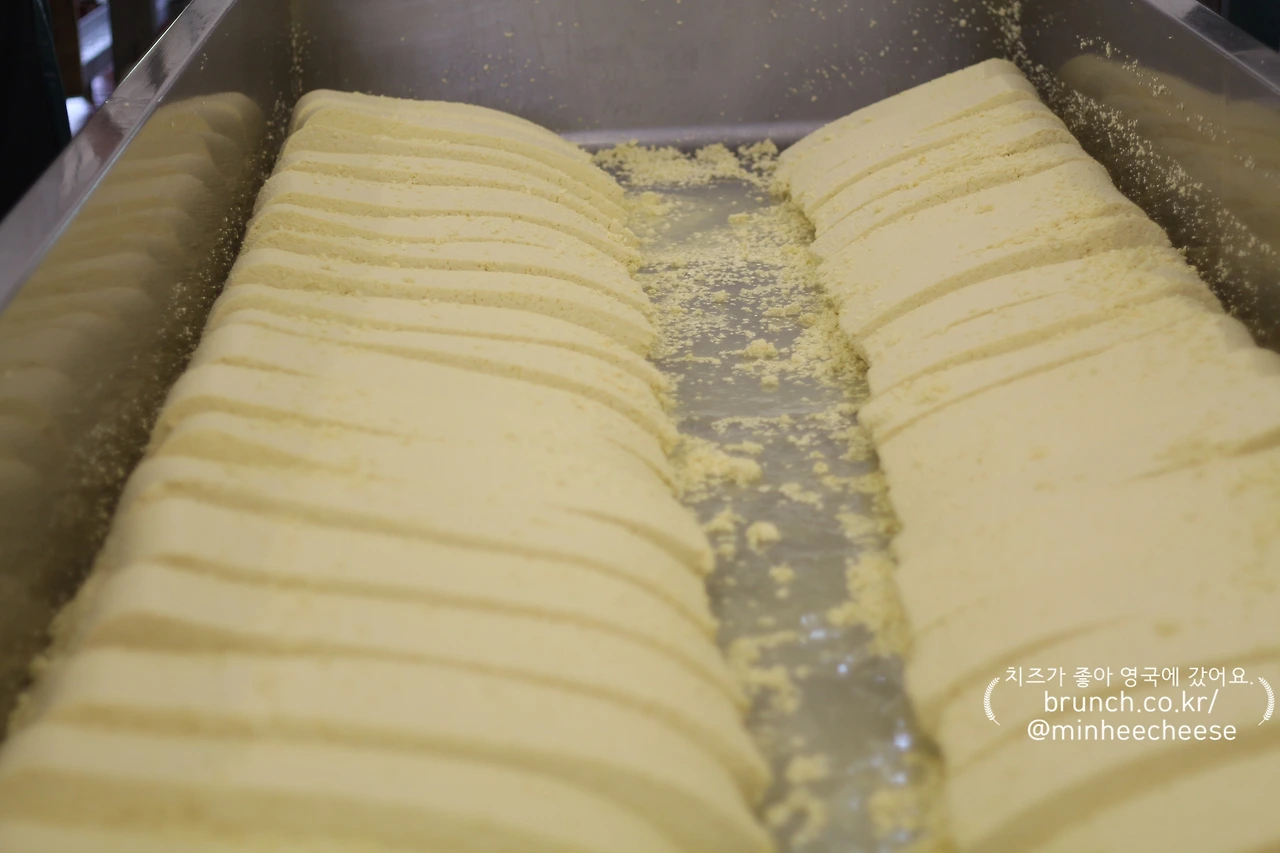 2. 알갱이 커드 블록으로 자르기 (5)-1.JPG