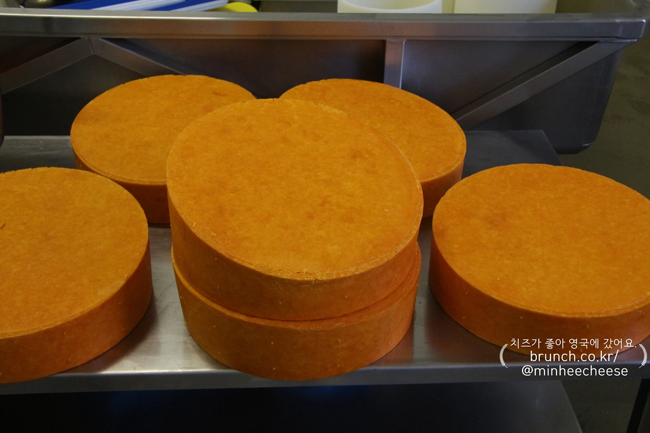 7.압축기에서 발란스 안 맞게 눌린 치즈 따로 모아둠 (1).JPG