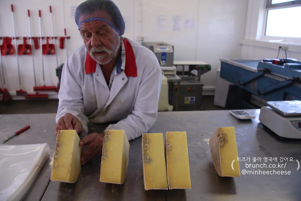 퀵스 마이트 손상 치즈 (4).JPG