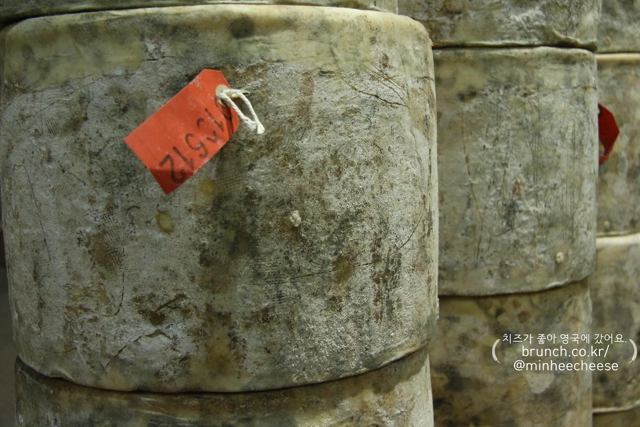 모슬린 벗기기 전 (2).JPG